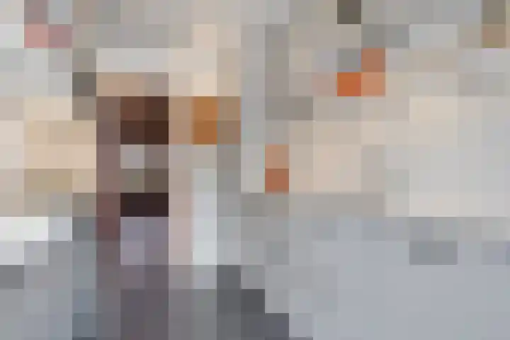Beukenlaan 28 Arnhem thumbnail 17