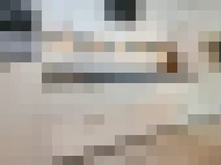 Beukenlaan 28 De Zilk thumbnail 10