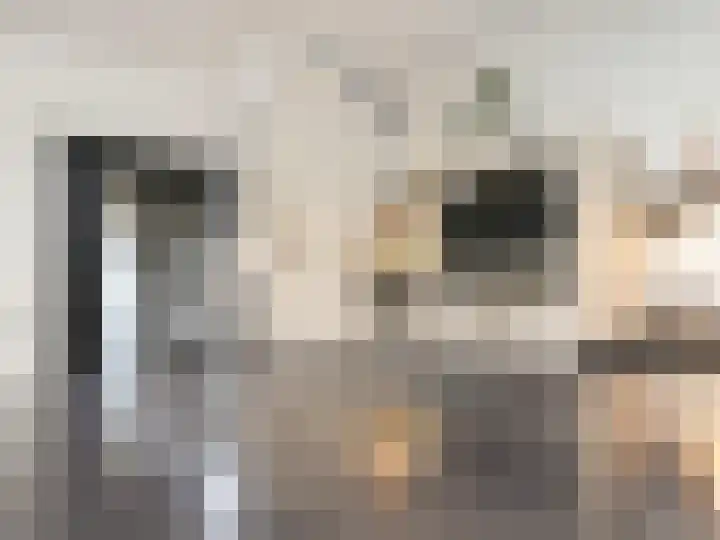 Beukenlaan 28 De Zilk thumbnail 11