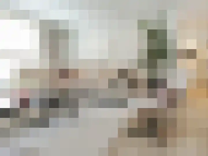 Beukenlaan 28 De Zilk thumbnail 13