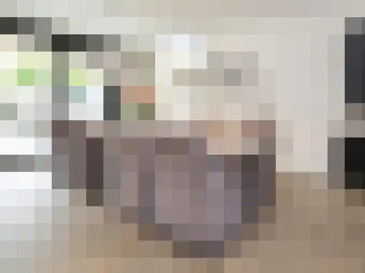 Beukenlaan 28 De Zilk thumbnail 14