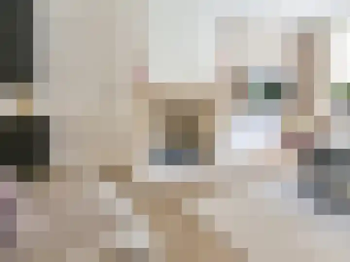 Beukenlaan 28 De Zilk thumbnail 15