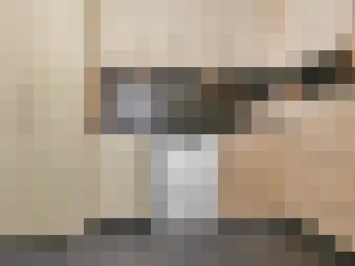 Beukenlaan 28 De Zilk thumbnail 18