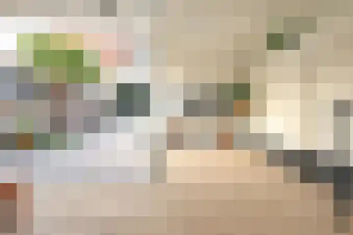 Beukenlaan 28 De Zilk thumbnail 20