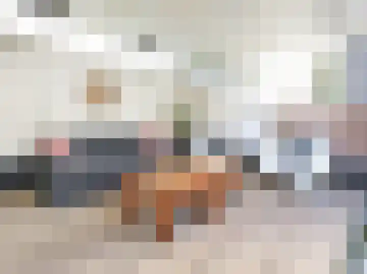 Beukenlaan 28 De Zilk thumbnail 21
