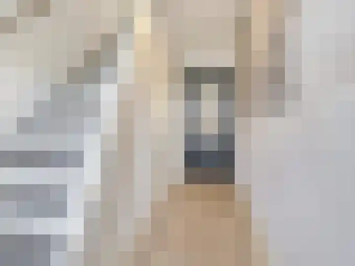 Beukenlaan 28 De Zilk thumbnail 25
