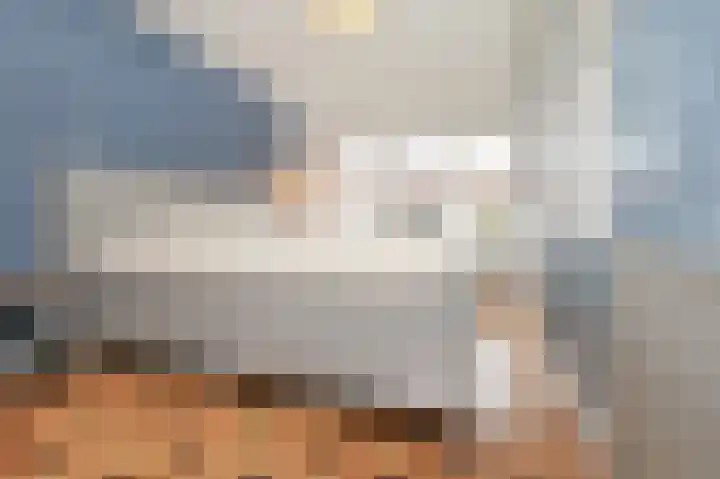 Beukenlaan 28 De Zilk thumbnail 26