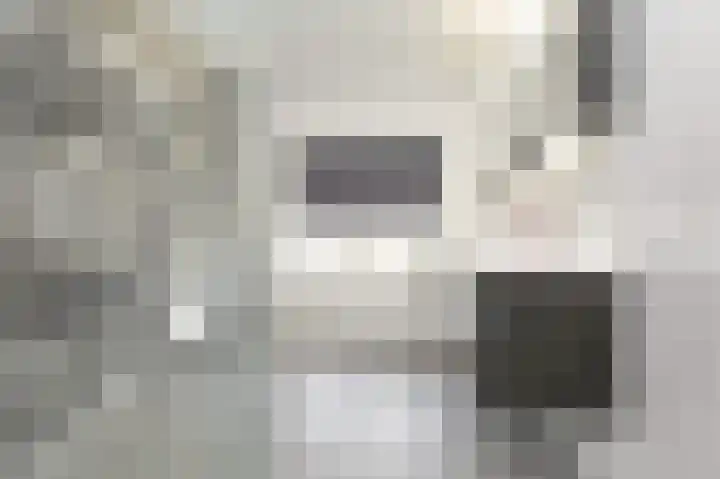 Beukenlaan 28 De Zilk thumbnail 31