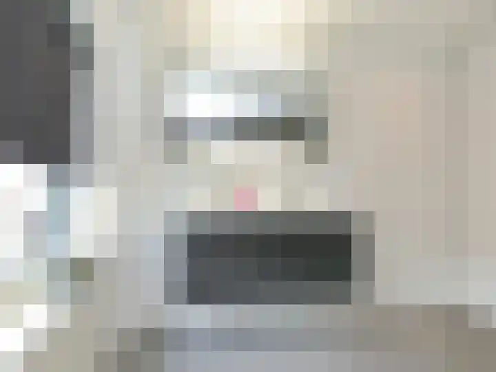 Beukenlaan 28 De Zilk thumbnail 32