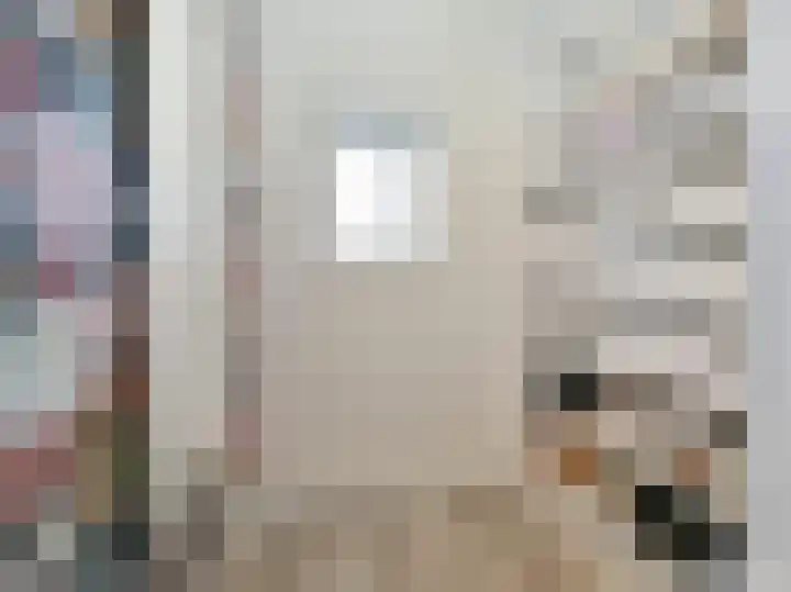 Beukenlaan 28 De Zilk thumbnail 33