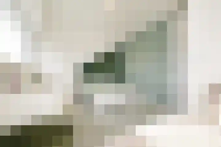 Beukenlaan 28 De Zilk thumbnail 34