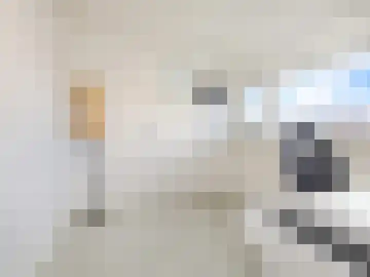 Beukenlaan 28 De Zilk thumbnail 37