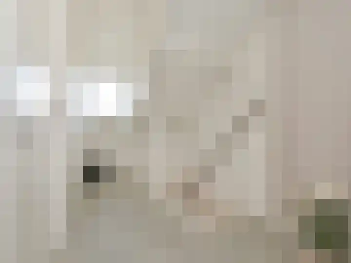 Beukenlaan 28 De Zilk thumbnail 39