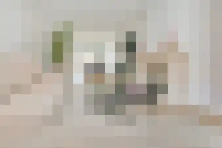 Beukenlaan 28 De Zilk thumbnail 4