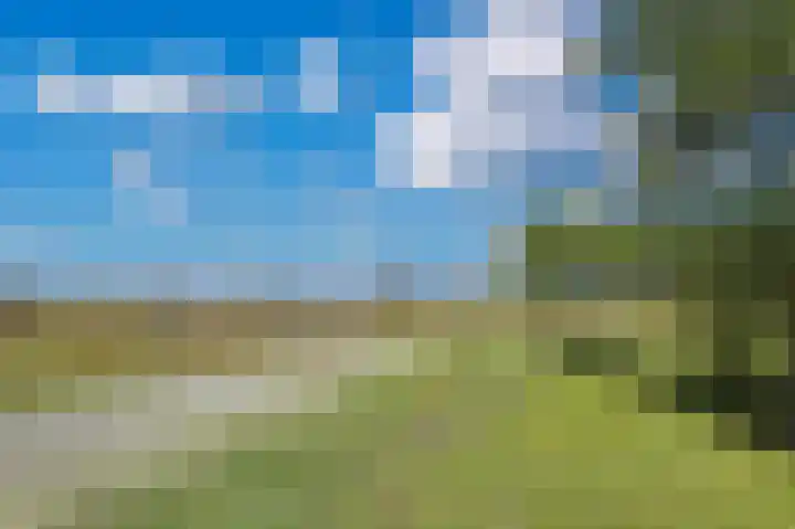 Beukenlaan 28 De Zilk thumbnail 42