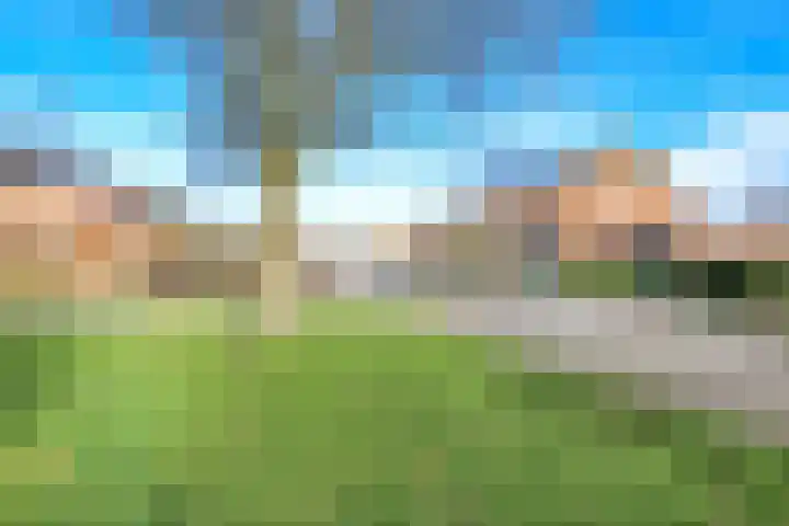 Beukenlaan 28 De Zilk thumbnail 43