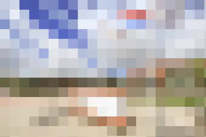 Beukenlaan 28 De Zilk thumbnail 46