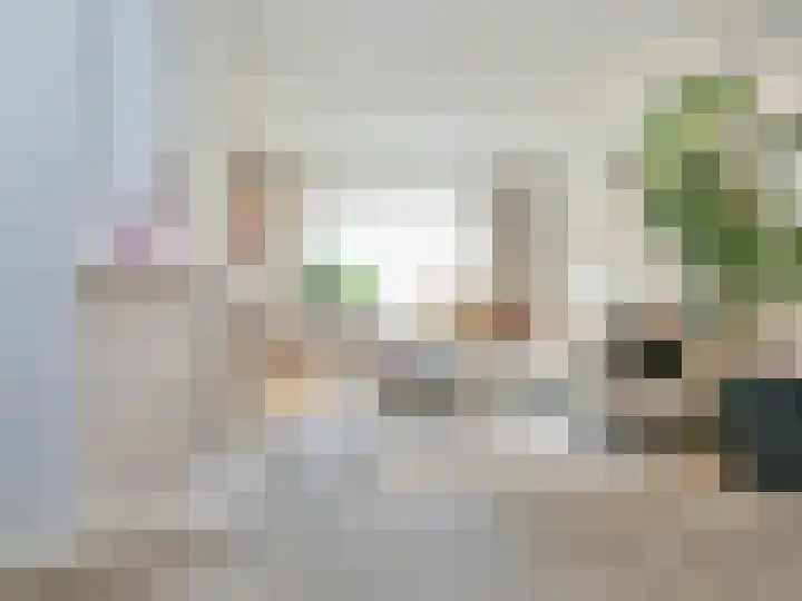 Beukenlaan 28 De Zilk thumbnail 6