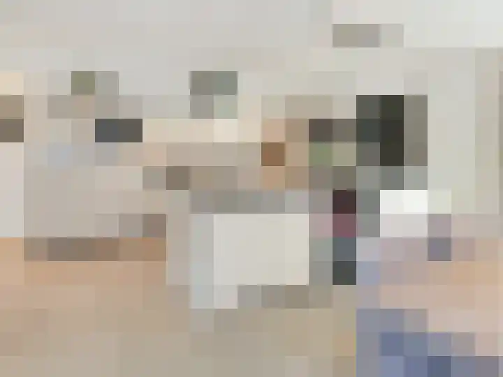 Beukenlaan 28 De Zilk thumbnail 7
