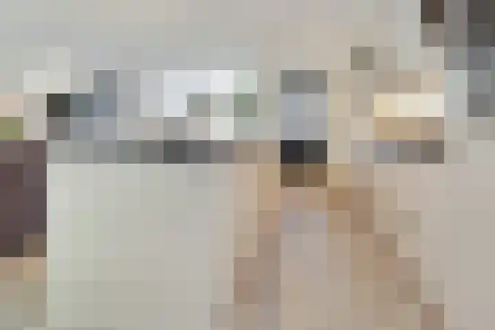 Beukenlaan 28 De Zilk thumbnail 9