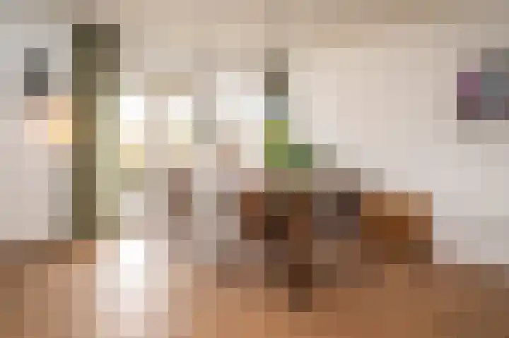 Beukenlaan 28 Molenhoek thumbnail 11