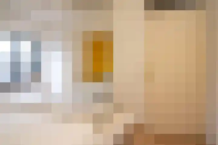 Beukenlaan 28 Molenhoek thumbnail 29