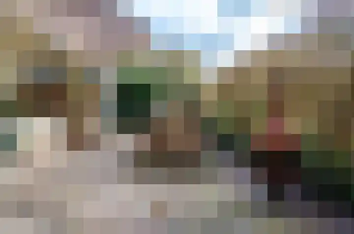 Beukenlaan 28 Molenhoek thumbnail 42