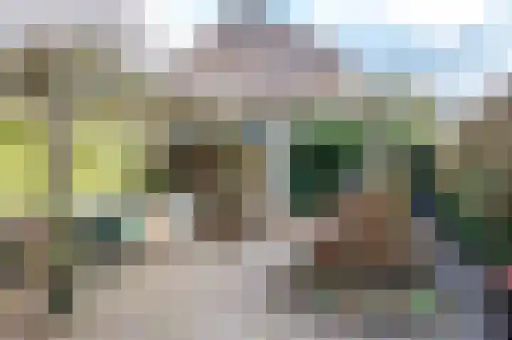 Beukenlaan 28 Molenhoek thumbnail 43