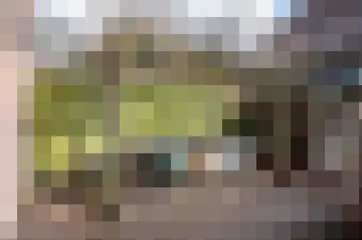 Beukenlaan 28 Molenhoek thumbnail 44