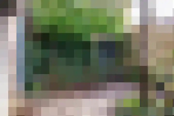 Beukenlaan 28 Molenhoek thumbnail 45