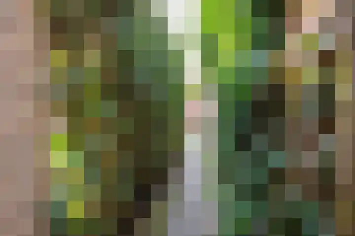 Beukenlaan 28 Molenhoek thumbnail 46