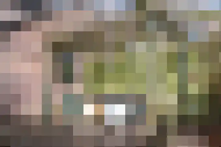 Beukenlaan 28 Molenhoek thumbnail 48