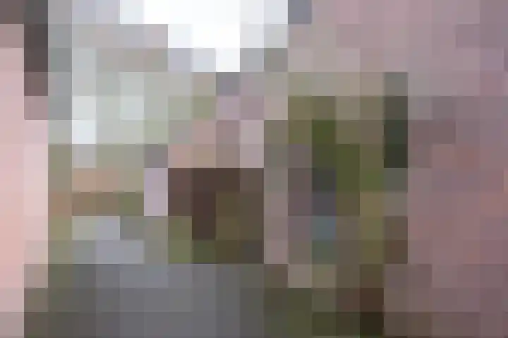 Beukenlaan 28 Molenhoek thumbnail 52