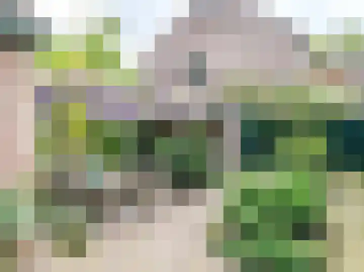 Beukenlaan 28 Molenhoek thumbnail 53