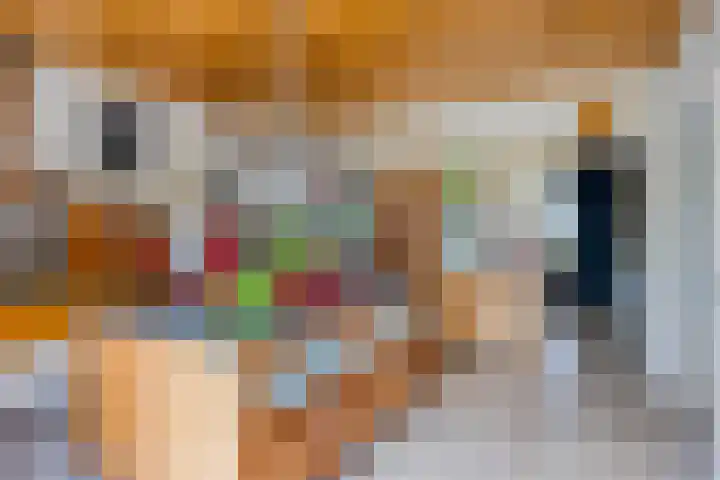 Beukenlaan 28 Sterksel thumbnail 10