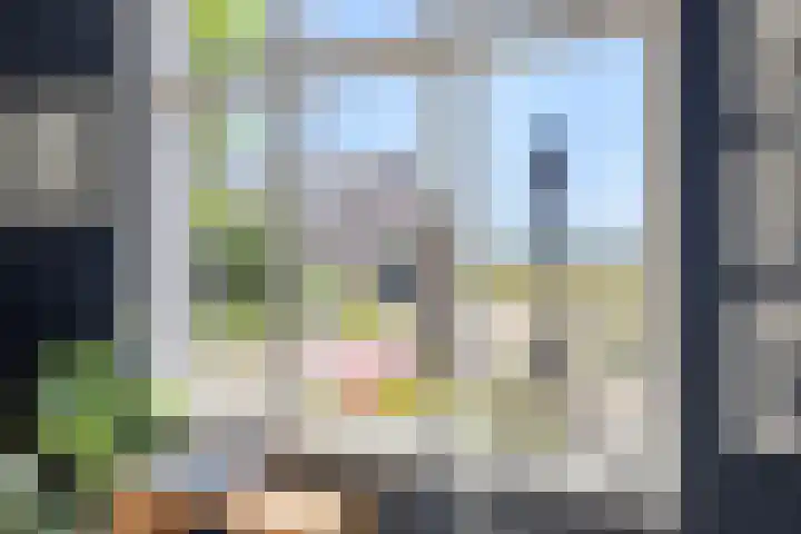 Beukenlaan 28 Sterksel thumbnail 17