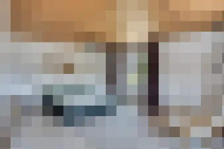 Beukenlaan 28 Sterksel thumbnail 20