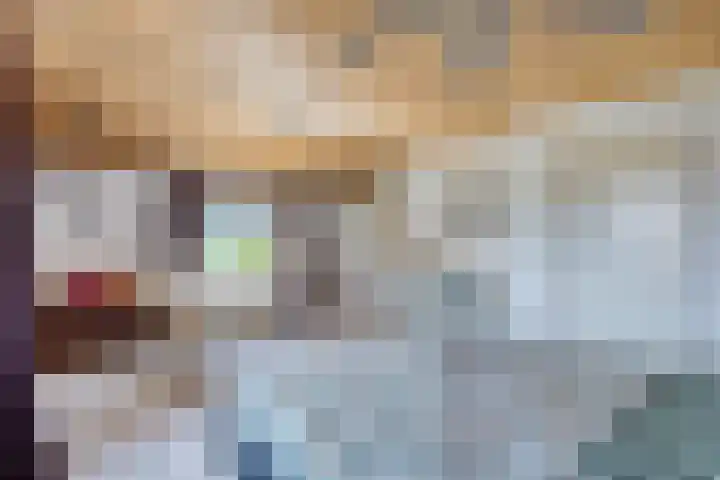 Beukenlaan 28 Sterksel thumbnail 21