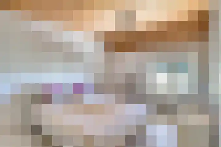 Beukenlaan 28 Sterksel thumbnail 22