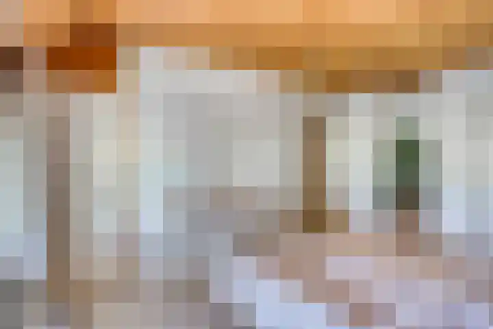 Beukenlaan 28 Sterksel thumbnail 23