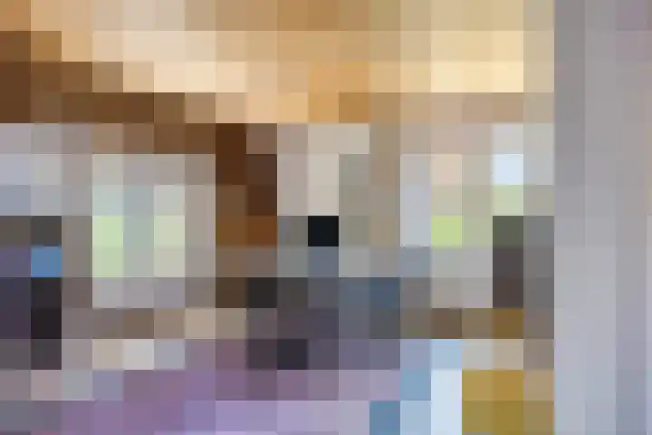 Beukenlaan 28 Sterksel thumbnail 24