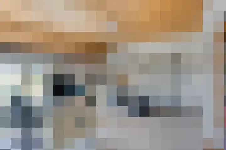 Beukenlaan 28 Sterksel thumbnail 25