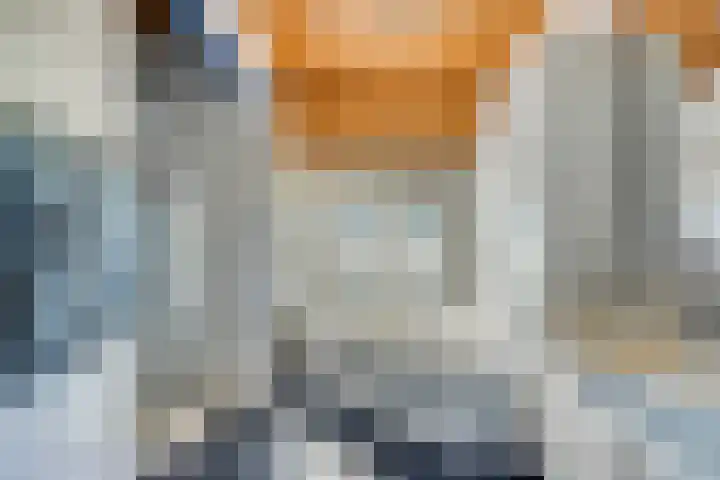 Beukenlaan 28 Sterksel thumbnail 26