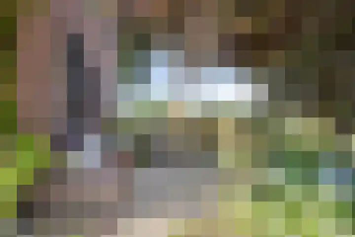 Beukenlaan 28 Sterksel thumbnail 29