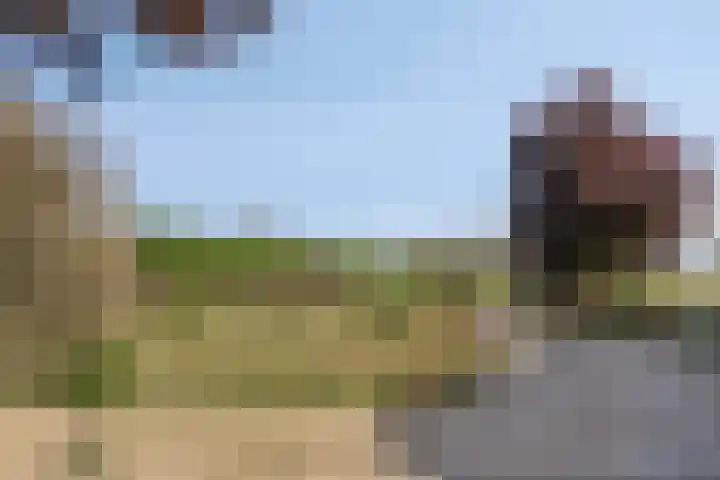 Beukenlaan 28 Sterksel thumbnail 30