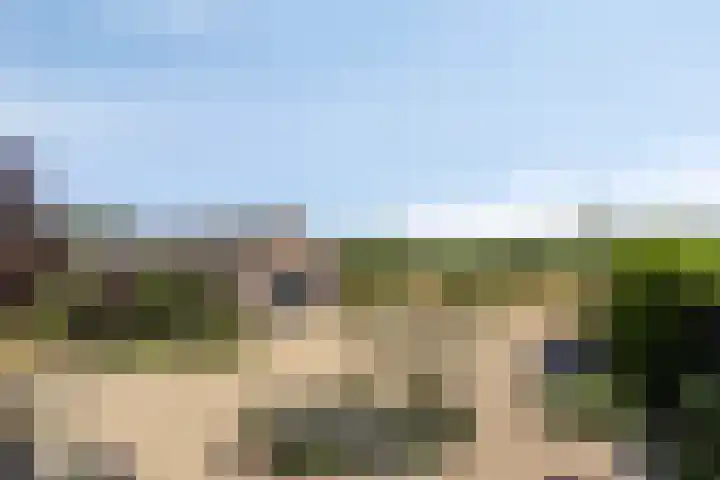 Beukenlaan 28 Sterksel thumbnail 32