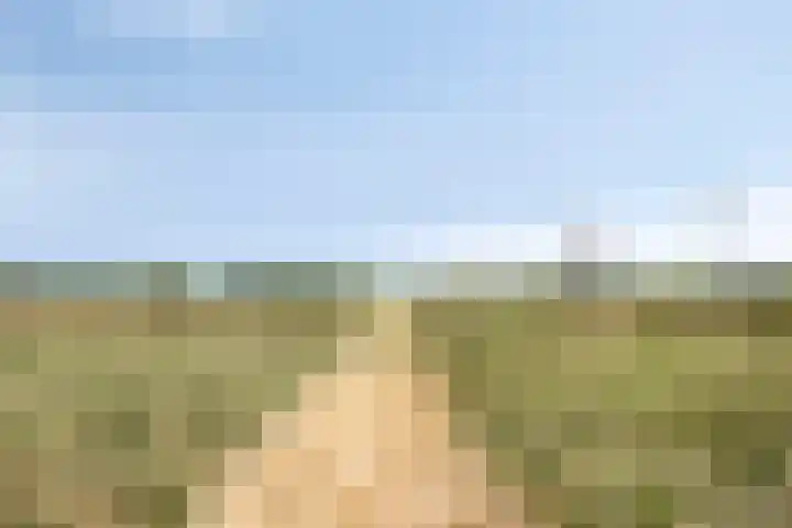 Beukenlaan 28 Sterksel thumbnail 33