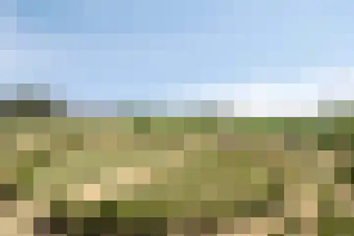 Beukenlaan 28 Sterksel thumbnail 34