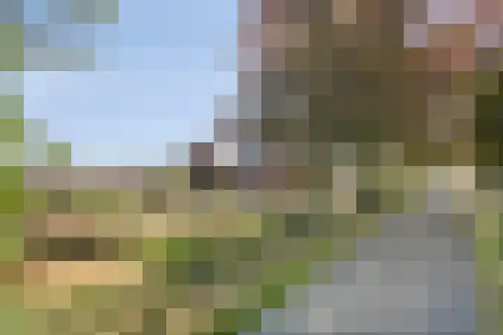 Beukenlaan 28 Sterksel thumbnail 35