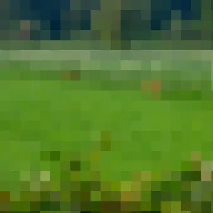 Beukenlaan 28 Sterksel thumbnail 37